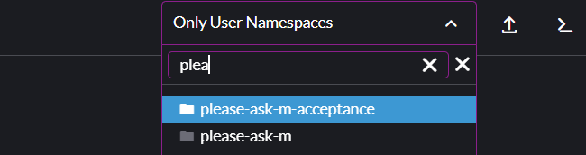 Rancher namespace selector